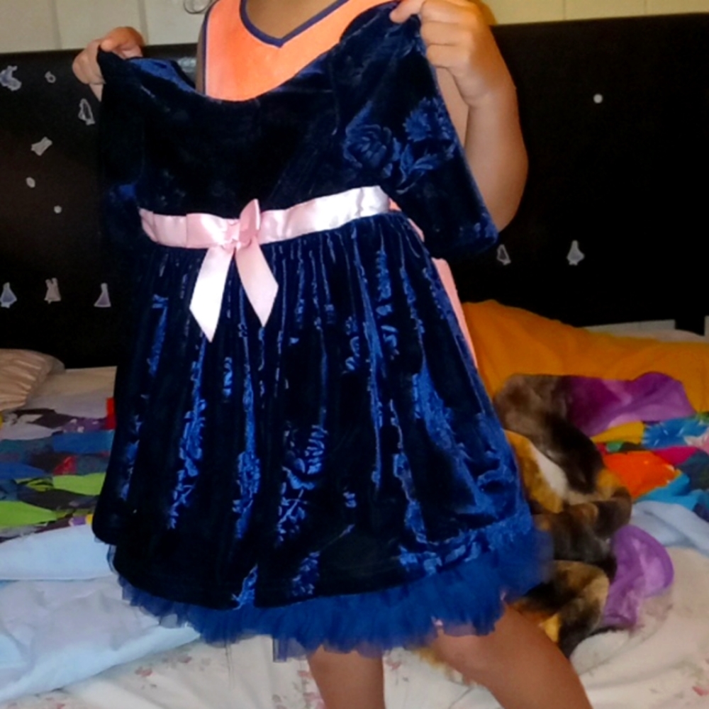 Blueber boulevard girls dress size 12M